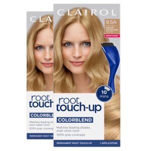 Clairol Root Touch-Up by Nice’n Easy Permanent Hair Dye, 8.5A Medium Ash Blonde Hair Color, Pack of 2