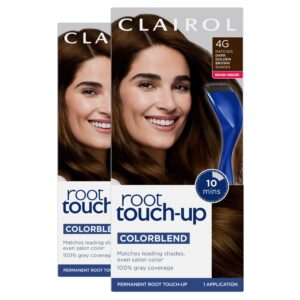 Clairol Root Touch-Up by Nice’n Easy Permanent Hair Dye, 4G Dark Golden Brown Hair Color, Pack of 2