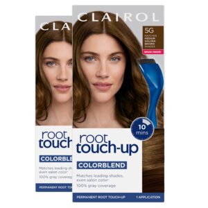 Clairol Root Touch-Up by Nice’n Easy Permanent Hair Dye, 5G Medium Golden Brown Hair Color, Pack of 2