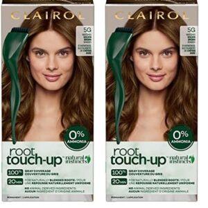 Clairol Root Touch-Up by Natural Instincts Permanent Hair Dye, 5G Golden Brown Hair Color, Pack of 2