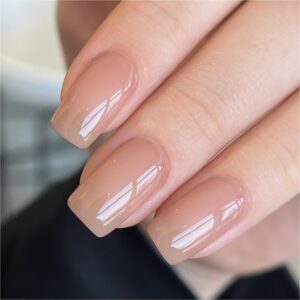 GAOY Nude Jelly Gel Nail Polish, 16ml Sheer Translucent Netural Soak Off Gel Polish, UV Light Cure for Nail Art DIY at Home, 3054 Brick Nude