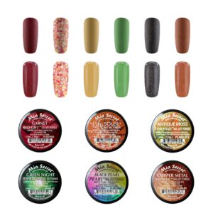 Mia Secret Fall Themed Acrylic Powder Remix Collections (6pk) MADE IN USA (Salem)