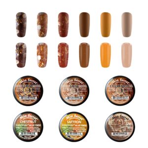 Mia Secret Fall Themed Acrylic Powder Remix Collections (6pk) MADE IN USA (Earth)
