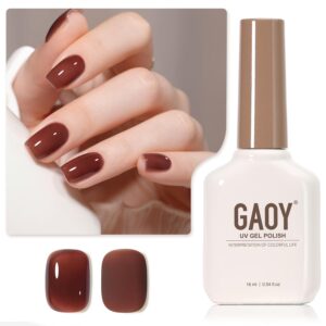 GAOY Jelly Brown Gel Nail Polish, 16ml Sheer Natural Translucent Soak Off Gel Polish, UV Light Cure for Nail Art DIY, 2067 Chestnut Jam