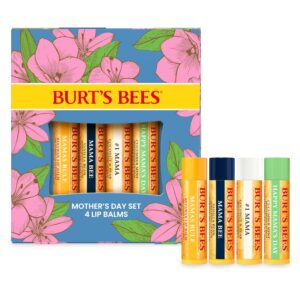 Burt’s Bees Gifts Ideas – Balm Bouquet Lip Balm Set, Original Beeswax, Vanilla Bean, Cucumber Mint, Coconut & Pear Pack, Natural Origin Lip Treatment, 4 Tubes, 0.15 oz.
