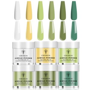 NKOOE Acrylic Nail Powder Set> 6 Colors Acrylic Nail Powder for 3D Extended Sculpture> French Nails> No Nail Lamp Required