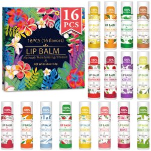 VISRIE 16 Pack Lip Balm, Natural Lip Balm Bulk with Vitamin E and Coconut Oil, Bulk Moisturizing Lip Balms for Dry Lips-16 Flavors