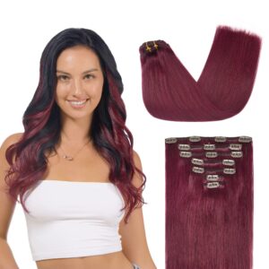 GOO GOO Clip in Hair Extensions Real Human Hair, Remy Human Hair Extensions Clip ins for Women, Natural Human Hair, 14inch 120g 7Pcs, 530 Burgundy