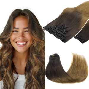 GOO GOO Clip in Hair Extensions Real Human Hair, Remy Human Hair Extensions Clip ins for Women, Natural Human Hair, 14inch 150g 9Pcs, 1D/2C/4E Chocolate Dip Color Melt