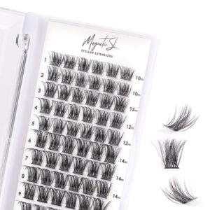 Cluster Lashes 72 Individual Lashes Clusters Eyelash Extensions False Eyelashes DIY Wispy Fluffy Lash Extension Kit Reusable False Eyelashes Natural Look Mix 10-16mm C D Curl-DM17