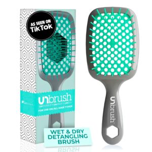 FHI Heat UNbrush Detangling Brush for Pain-Free Brushing on All Wet or Dry Hair Types — Durable DuoFlex Anti-Static Bristles, Lightweight Handle, Vented Hair Brush, Aurora