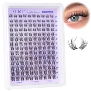 Lash Clusters Natural Lash Extensions Invisible Band Waterproof 8-16mm Cluster Eyelash Extensions Wispy Eyelash Clusters Individual Lashes Cluster Lashes by ALICE