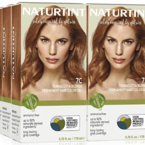 Naturtint 7C Terracotta Blonde Permanent Hair Color (Pack of 6), Ammonia Free, Vegan, Cruelty Free, up to 100% Gray Coverage, Long Lasting Results (Packaging may vary)