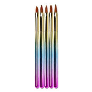 Portable Multifunctional Nail Liner Pen 5PCS Brush Art Dotting Professional Nail Pen