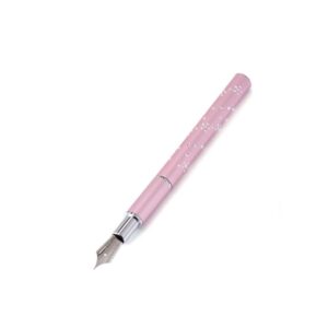 Didiseaon Nail Art Pens Kit 1 Set Nail Art Fountain Pen Brush Replacement Beads Painting Accessories Manicure Painting Tools for Women Girls