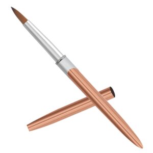 SOESFOUFU Nail Art Brush Set Aluminum Nail Art Pen Liner Brush Nail Art Striping Pen Nail Painting Tools for Diy Gel Polish Nail Art at Home or
