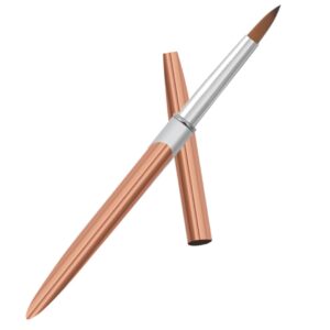 Baluue Portable Nail Art Brush Elegant Nail Art Pen for Fine Drawing Striping and Painting Designs for DIY Decor and present for Her