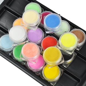 Beauties Factory 18 Color Acrylic Powder Nail Art Paint False Tips