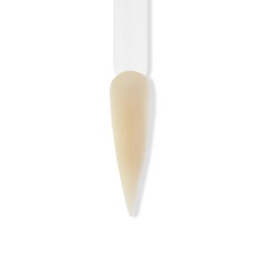 BangBang Acrylic Powder – Nude Colors – 1.5 lbs (#190 – Fall For U> 1.5 lbs)