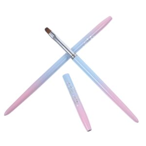 Hemoton Professional Nail Art Brush Set 2pcs Nail Brushes Nail Art Pen Nail Art Tools Manicure Tool Detail Brush for DIY