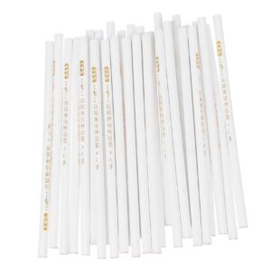 HAPINARY Nail Pencil Set 30pcs Manicure Art Pen White Core Drill Pen for Nail Art for Diy Crafts