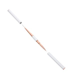 Baluue Double Headed Nail Art Brush Pen Portable Nail Painting Tool for Nail Design Dual Sided Manicure Brush for Salon Home Use Easy to Hold Effortless Application Chic Nail Art